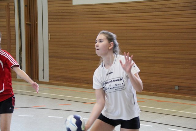 2017_02_19 Landesliga Frauen und Jugend 19